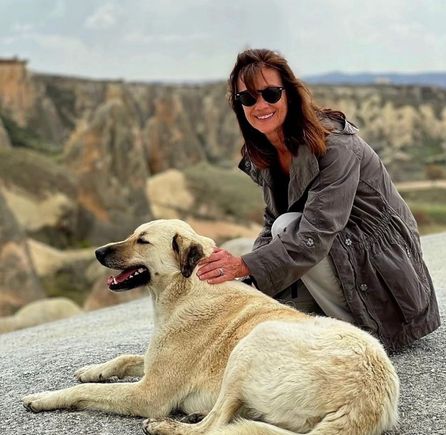 How did I forget the pet landscaping?