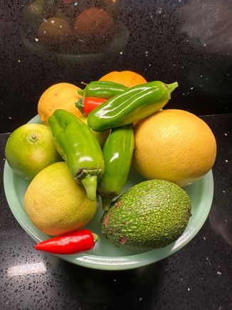 Limes lemons oranges avocados and peppers