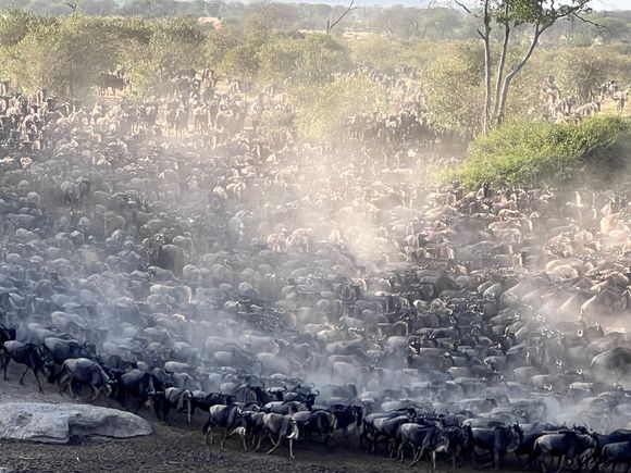 Pouring in from everywhere.