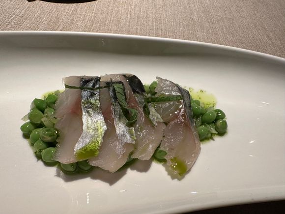 Mackerel crudo slices on top of peas from the Maresme coast