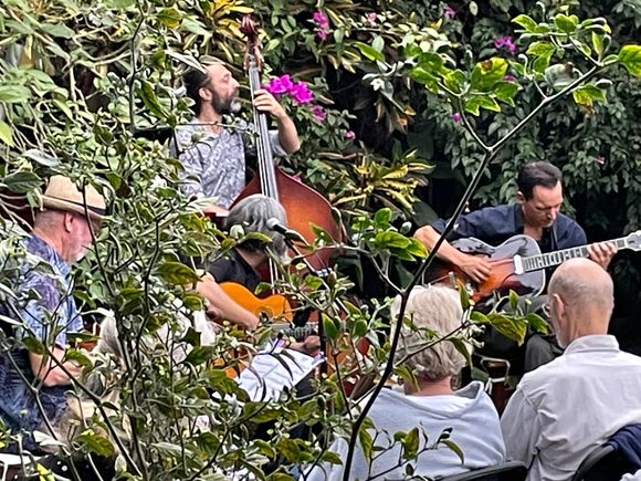 Backyard concert