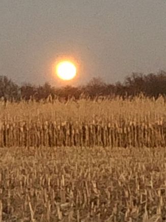 Brilliant Orange when it first rose, not sure if my phone can capture it's brilliance.