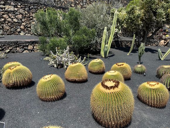 Note lava wall in background....placement of stones....
