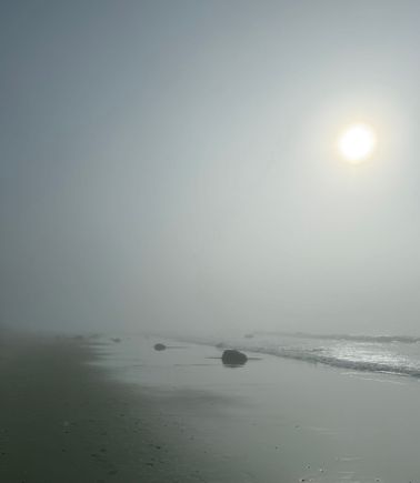 This very quickly rolled in. I felt like I was in London. At one point I could only see a few feet ahead! My hair was wet from the fog. 