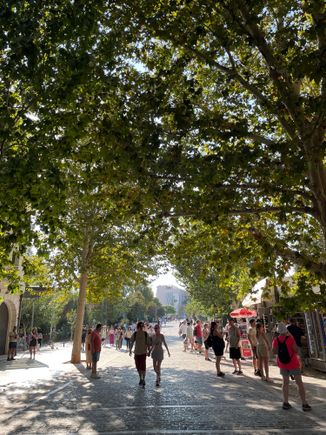 A shady stroll in the city