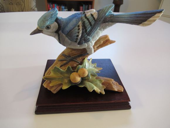 BlueJay.  They build a nest in my Spruce Tree