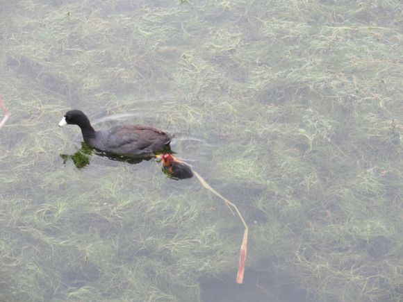 Like this one ..........