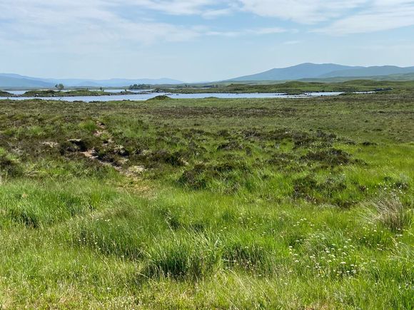 Rannoch Moor