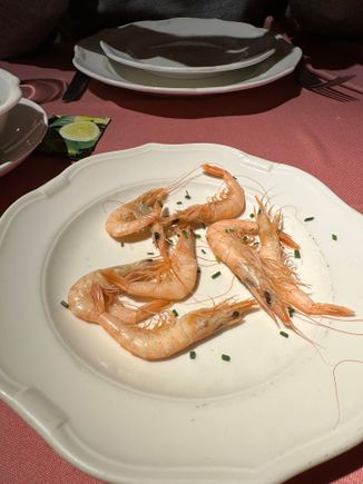 Those exquisite shrimp