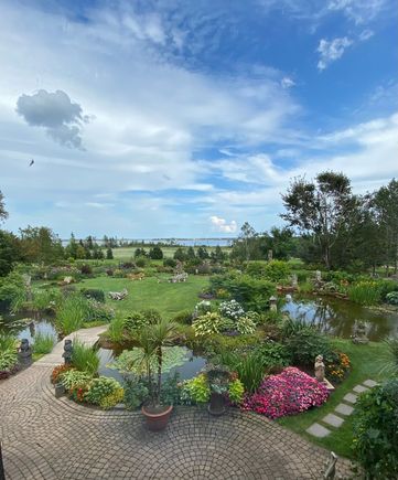 The amazing gardens at the Dunes Art Gallery