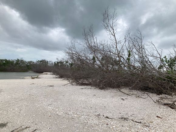 Lover’s Key State Park