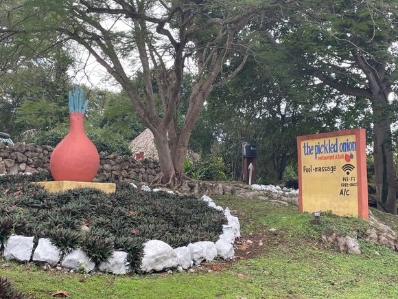 Goodbye Pickled Onion