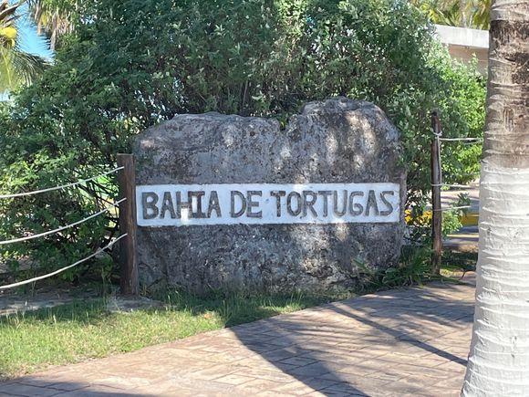 Didn't see any turtles.  I think this is a stop from Palenque to Campeche or the other way around depending on your tour.