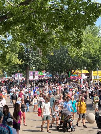 it was elbow to elbow except for a roped off area, like the one in front of me. The lines for cheese curds were about 1/2 this many people. Crazy long.