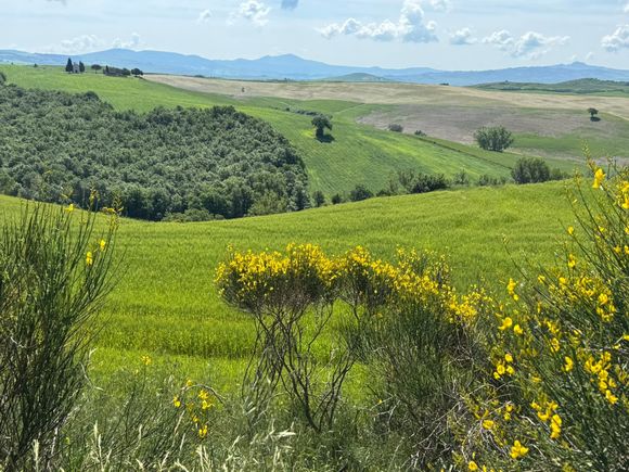 Pretty Tuscan countryside