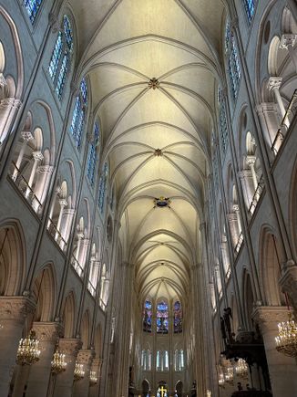 Notre-Dame is fresh and beautiful but so crowded 