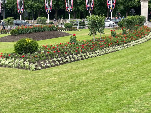 ...and this is after (different plot)