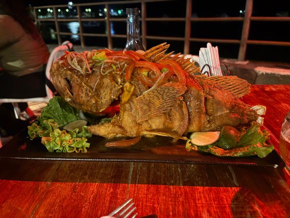 Scorpion fish