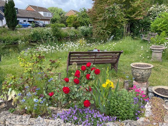 This was actually in front of someone's house looks out on a little part of the waterway, so cool.  Get my book, I'm staying here!