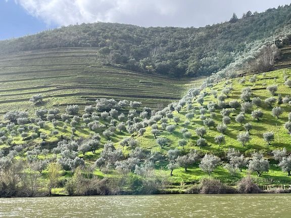 The area is a UNESCO World Heritage Site and development is highly restricted. Besides wine, it is also a major center for olive oil.