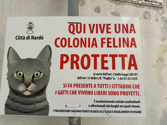 "Here lives a protected cat colony;  mistreatment of any cat will be punished vigorously.."  I LOVE THIS, and indeed, we saw several adorable and well fed pussy cats while walking last night.