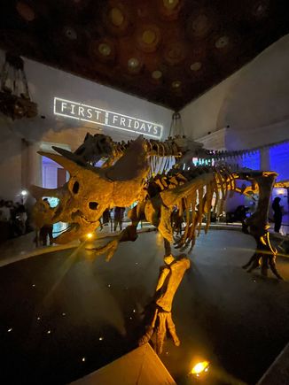 First Fridays at the Natural History Museum of Los Angeles