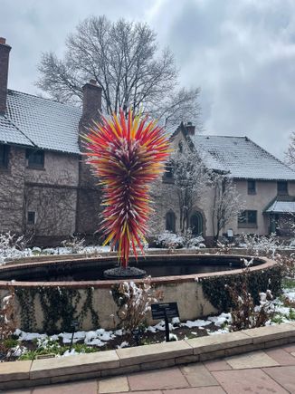 Chihuly Art in Denver. It was April but it was snowing. Very magical Botanic Gardens 