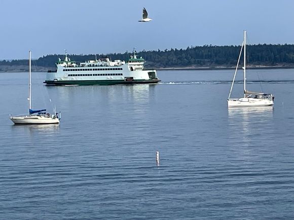 I can't resist a shot of a ferry with sail boats.