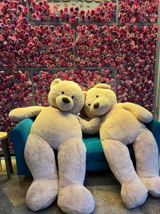 Lobby of The Bled Rose Hotel