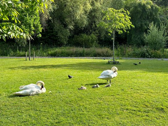 This was in Dublin. I didn’t really love Dublin but it’s where my ship left from so I’m going to be back there for another day and will see the Book of Kells. 