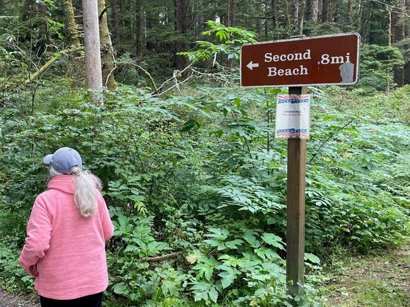 This way, follow me!