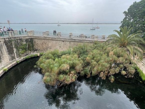 Fonte Arethusa, an ancient fresh water spring