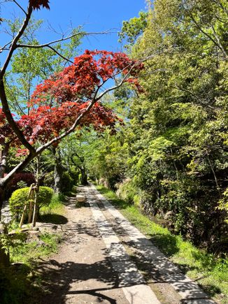 The Philosopher's Path