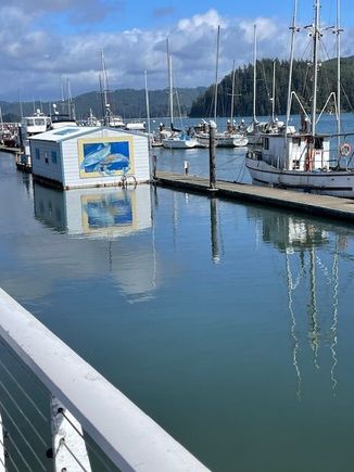 A little reflection on the water