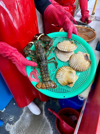 Our lunch which became dinner, too.