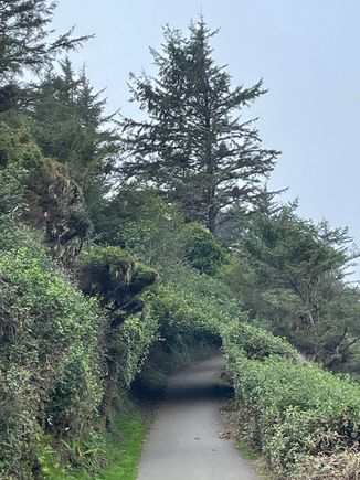 Starting my hike up the head.  At first the path is asphalt then it turns into dirt but still pretty wide.