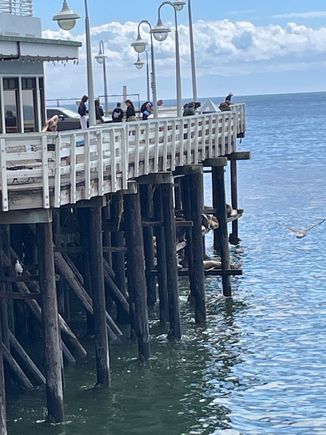 End of the Wharf, I am using the term loosely, see the next picture