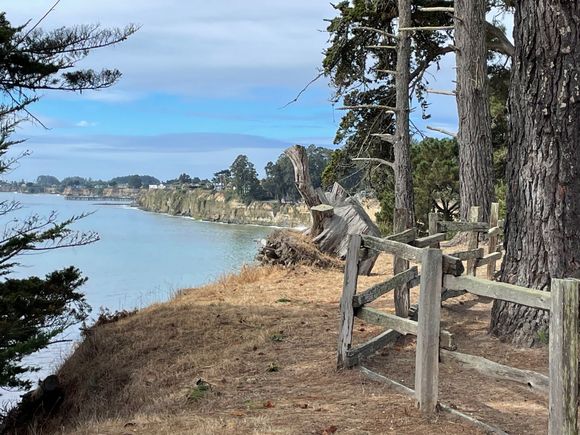 This is where we got to see the dolphin show