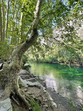 The river really is this emerald green 