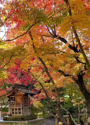 Beautiful colours throughout the hike