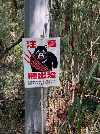 Fortunately we did not meet any bears!