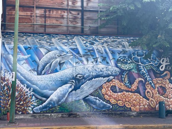 Whales and sea life are very popular themes for murals here because of it's connection to the ocean.