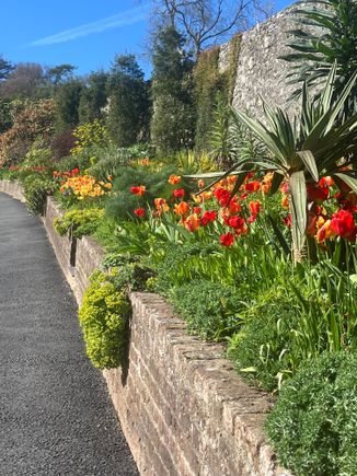 Plas Cadnant