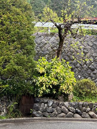 Look closely at the left lower corner for the almost hidden door to the well.