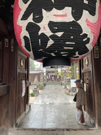 We waited for this gentleman to move, but I guess he was happy to get in out of the rain!