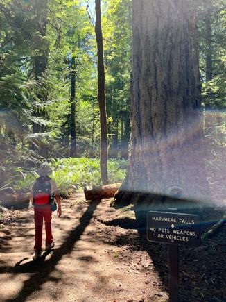 Hiking to Marymere falls