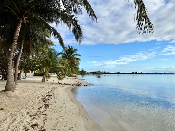 Edge of “our” property 