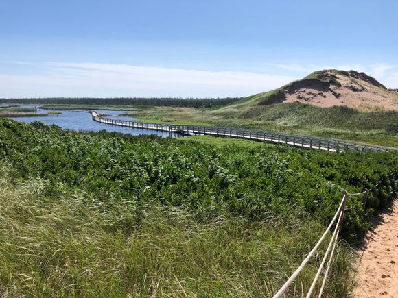 Greenwich Dunes boardwalk over dunes and the pond