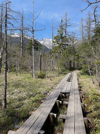 The walks at Kamikochi are relatively flat, with a lot of boardwalks over wet areas.