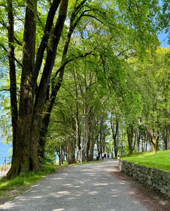 Park at the end of the Bergen peninsula 
